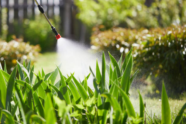 Tamper-Resistant Bait Stations for Rodents in Appleton City