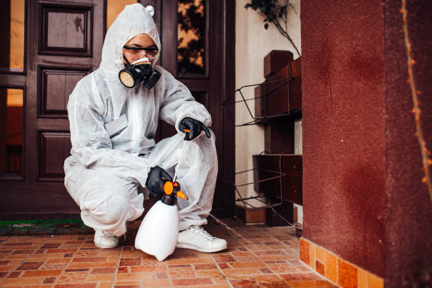 Attic and Crawl Space Rodent Treatment in Appleton City