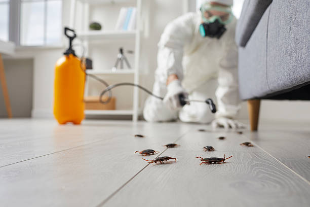 Commercial Rodent Management in Appleton City